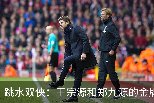 跳水双侠：王宗源和郑九源的金牌之旅